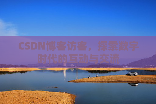 CSDN博客访客，探索数字时代的互动与交流